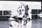 Wildcats Volleyball